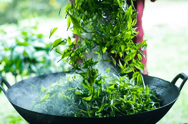Close-up of the tea making process at Araksa Tea Garden