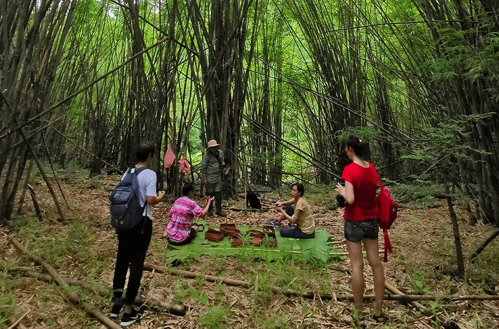 People having bamboo forest dinner after a jungle trek at Chiang Mai
