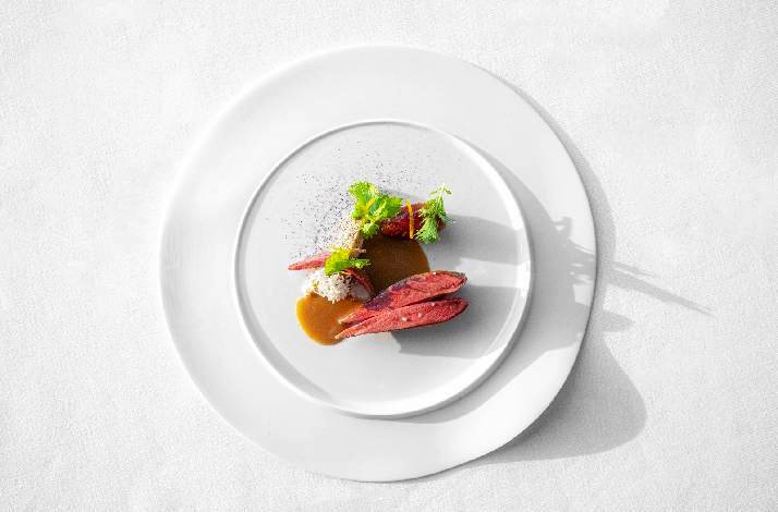 Настя Каменскаяның жалаңаш бейнесі