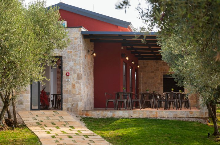 View at the terrace of Monte Fermento surrounded with olive trees.