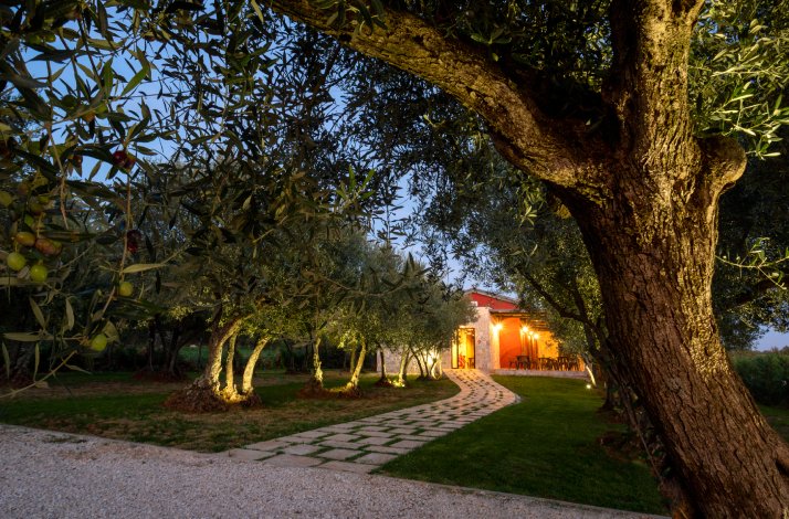 Path through olive trees leading to the lit-up premises of Monte Fermento.