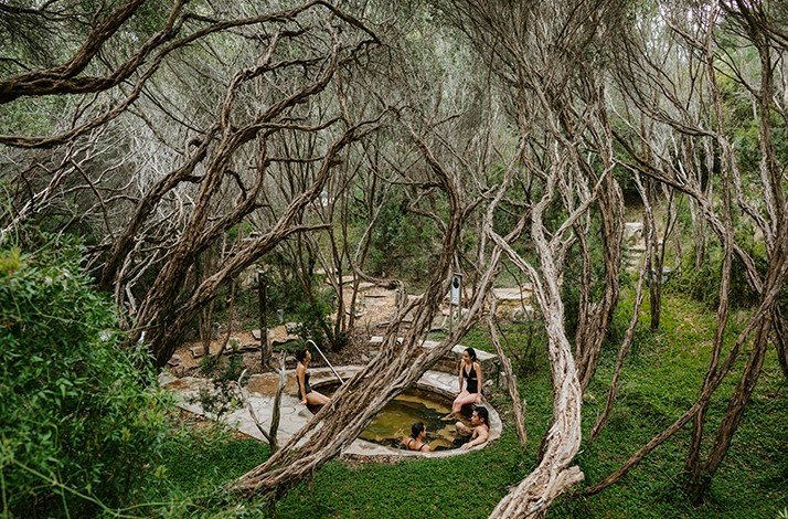A private bath surrounded by trees with fascinating structure in Peninsula Hot Springs resort