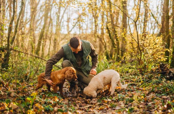 A man petting to an English Cocker and a Poodle on a hike 