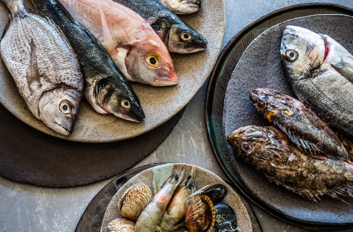 A mix of fishes and seafood on plates.