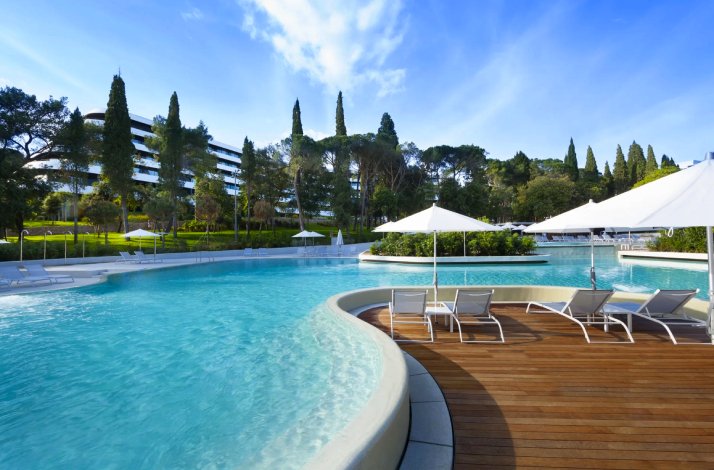 A view of Hotel Lone's pool and green scenery.