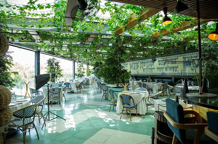 The sunny terrace of Alesia Mediterraneo Restaurant in Mexico, designed in Mediterranean style with blue and white colors and greenery.