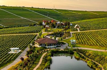 the building of Casa Timis Wellness and Spa Resort from bird eye view