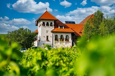 Casa Timis Wellness & Spa Resort building.