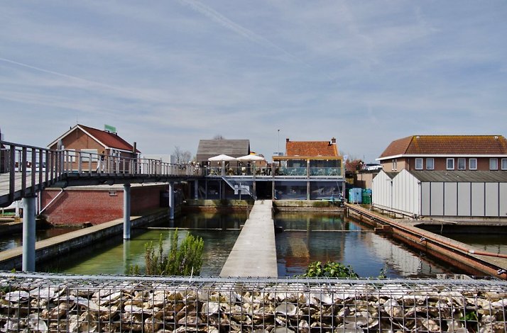 Oyster farming facility in Zeeland with shell-filled wire baskets, water basins, elevated walkway, and surrounding Dutch buildings.