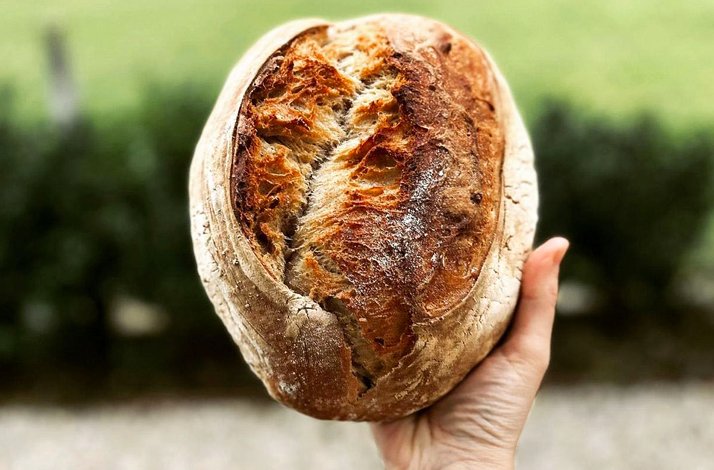 Hand holding a loaf of bread.
