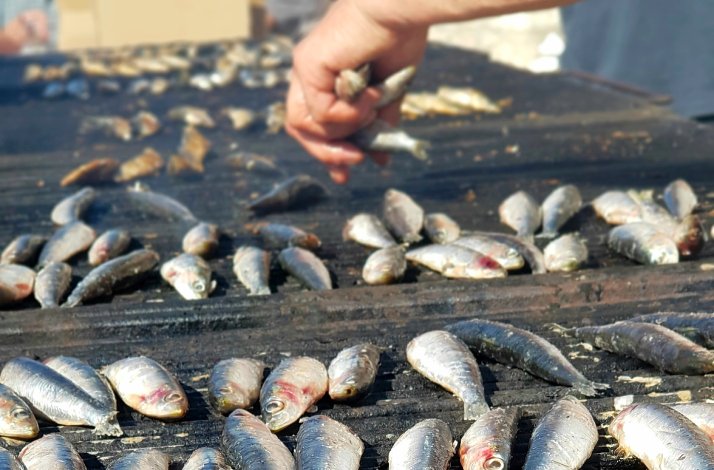 Kayak through the Šibenik archipelago on a land-and-sea adventure: In Zlarin, Croatia A few fish being cooked on a grill