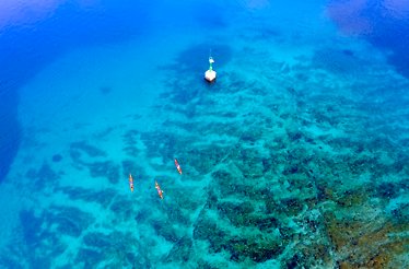 Bird's eye view at a group of tourists kayaking across Adriatic Sea on a tour of the Šibenik archipelago.