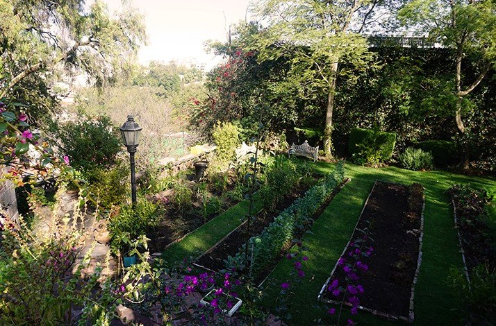The garden view with flowers in the home designed by famed architect Manuel Parra.
