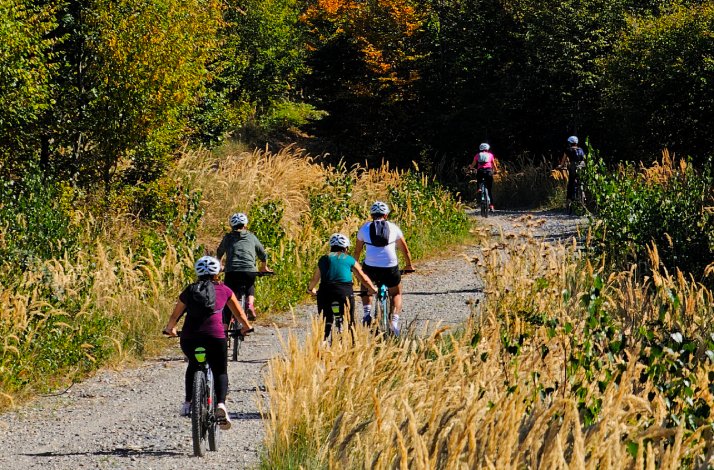 People riding bicycles