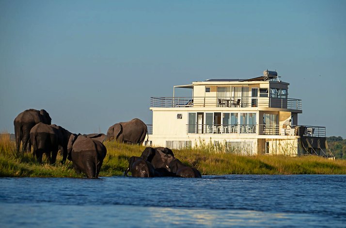 Zambesi Queen Houseboat passing near a herd of elephants on the Chobe River
