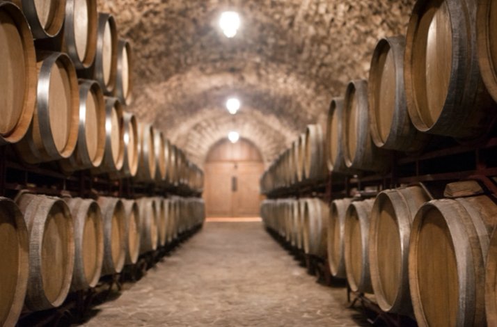 Rows of oak wine barrels lining a vaulted stone cellar at Castillo del Buen Amor winery, Salamanca.