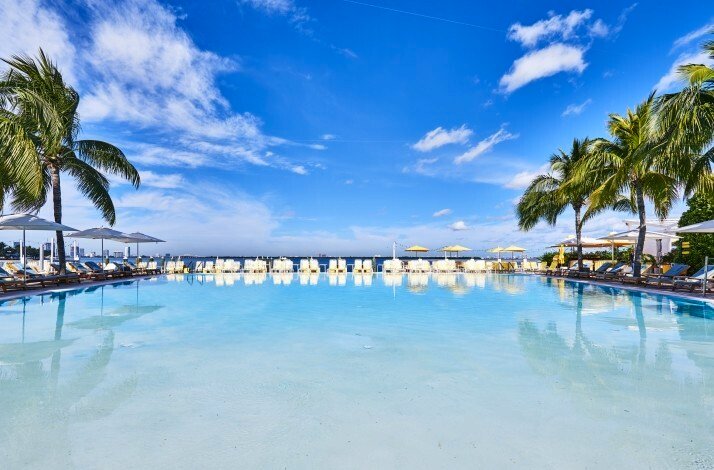 View from the outdoor pool of  The Standard Hotel with lounge chairs, umbrellas and palm trees