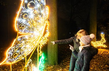 A children and a woman enjoying at Weihnachten im Tierpark 