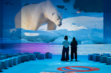Polar Experience - The Immersive Exhibition about the Arctic and Antarctic.