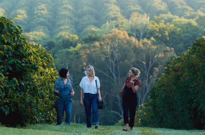Embark on a private crop-to-cup coffee tour at Zentveld's Farm & Roastery: In Newrybar, Australia Three participants walking through coffee plantations during the coffee farm tour.