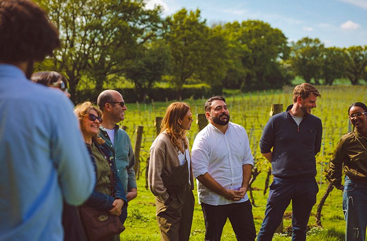 Group of people standing in Chapel Down vineyards.