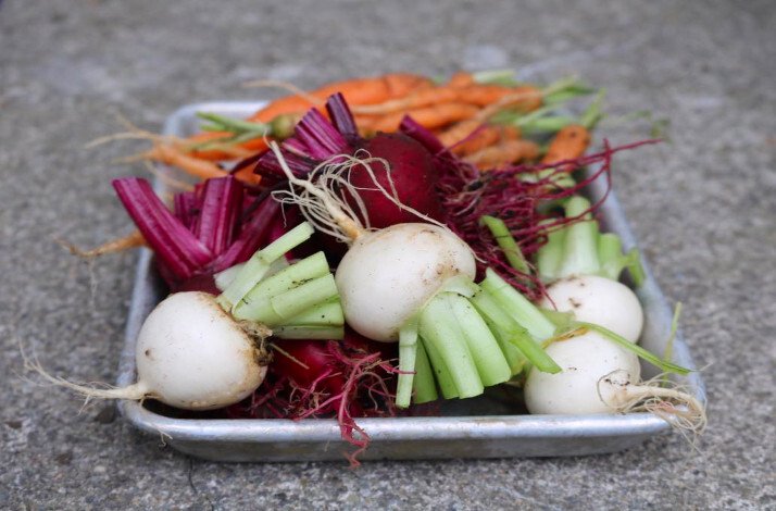 The bowl of a freshly collected vegetables from a vegetable farm in West Cork