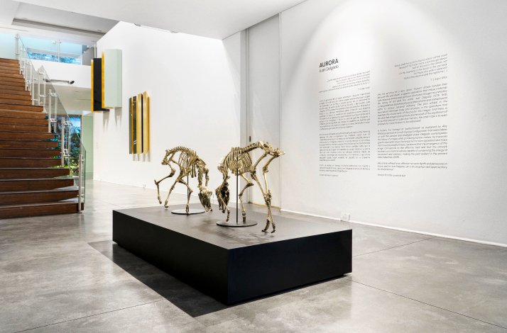 The interior and exposition of La Cometa gallery in Bogota