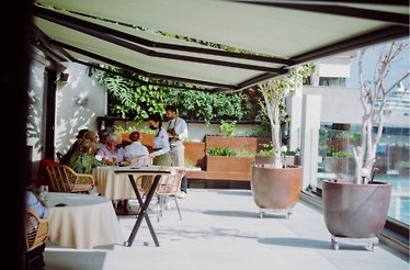 Visitors enjoying the six-course dinner with chefs delivering masterclass at Muxgo restaurant with a Michelin Green Star restaurant sunny dining room.