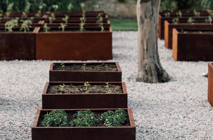 Indulge in an exclusive gourmet lunch at a Michelin-starred restaurant: In İzmir, Turkey Raised garden beds with small plants growing in a gravel-covered area beside a tree trunk at Teruar Urla