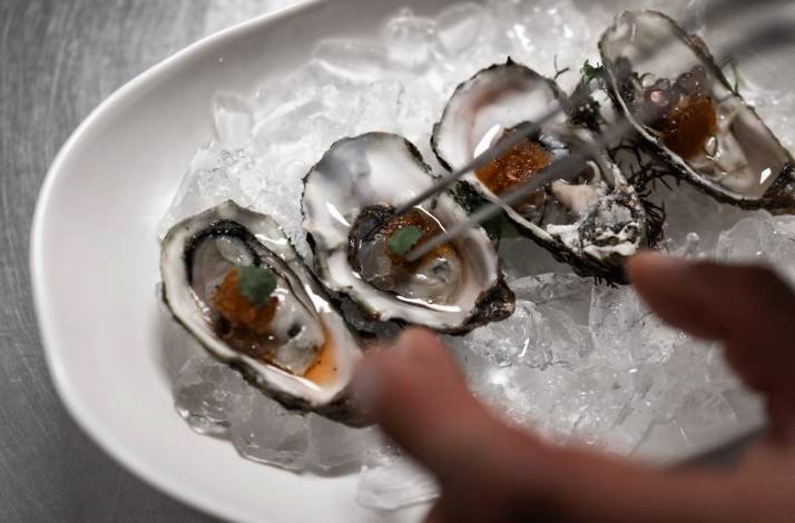 Oysters served on ice at Konoba Kala
