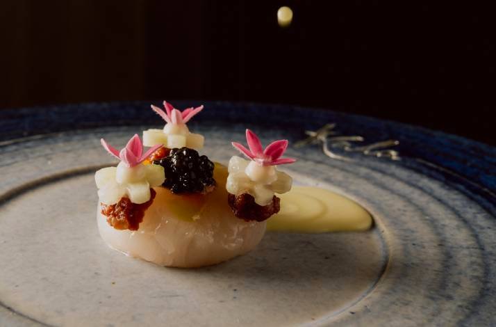 A plate featuring a serving of fresh dessert prepared at the Konoba Kala.