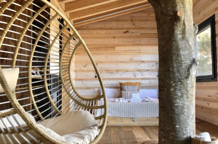 Sunlit tree cabin interior featuring a rattan hanging chair, a live tree trunk, and a cosy bed with linen cushions.