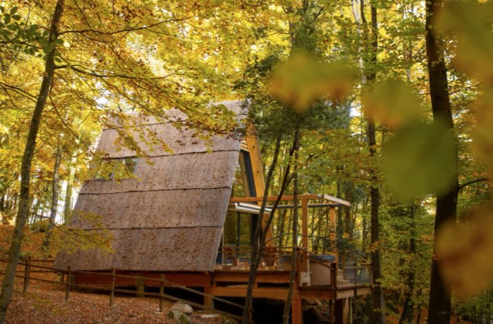 Thatched-roof tree cabin elevated on wooden stilts, surrounded by a vibrant autumnal forest canopy. Confidence: High