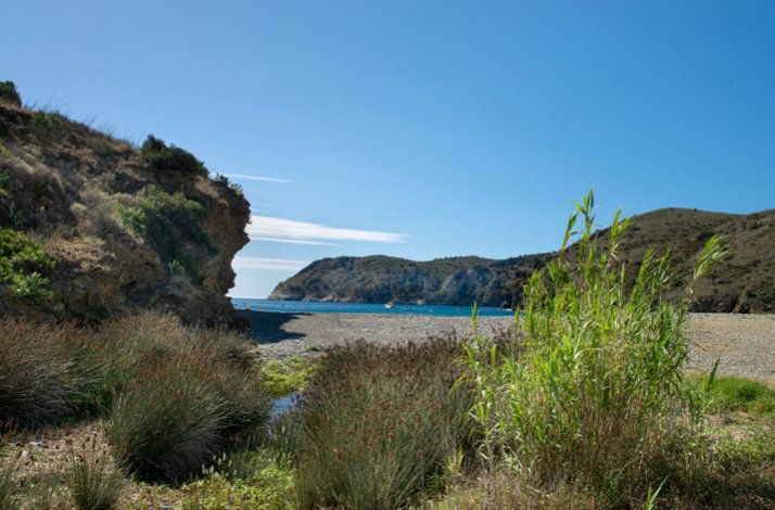 Secluded pebble cove at Hotel Restaurante Cala Joncols, framed by rocky cliffs and lush reeds under clear blue sky.