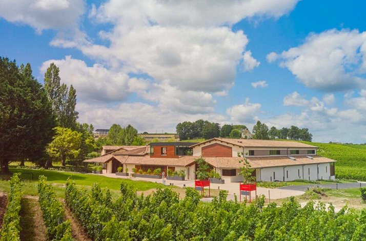 A view of the cardinal landscape.