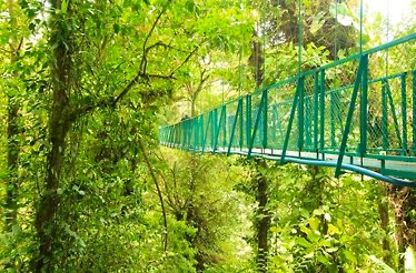 One of the suspension bridges in Selvatura Adventure Park in Costa Rica.