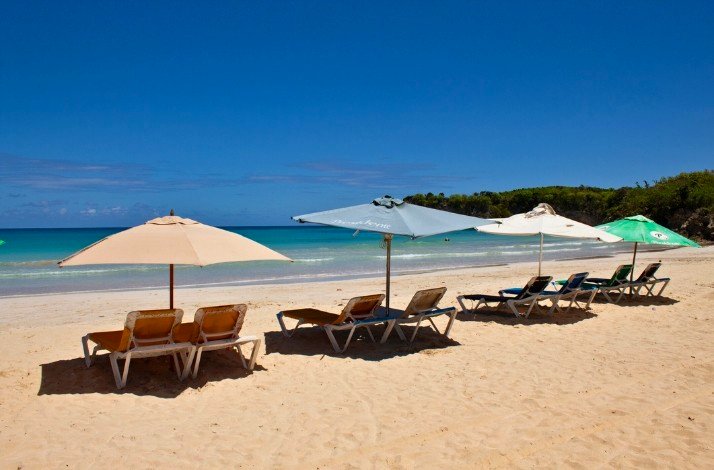Scenic Macao Beach in Punta Cana