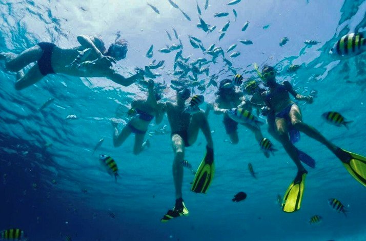A group of people swimming in the ocean.