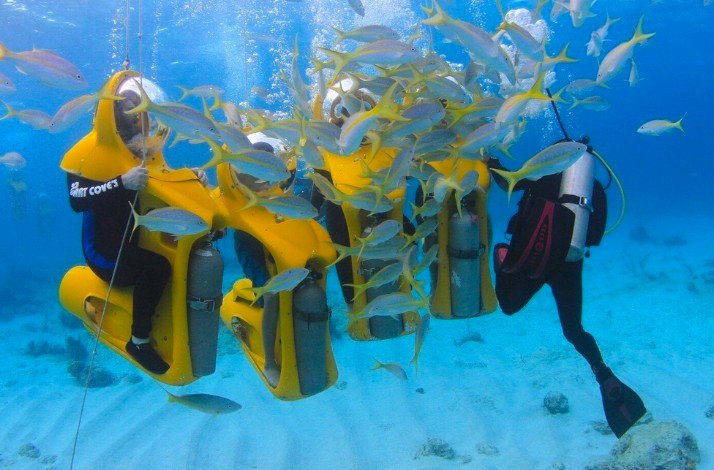 Group of participants of Scuba doo diving around small fish.