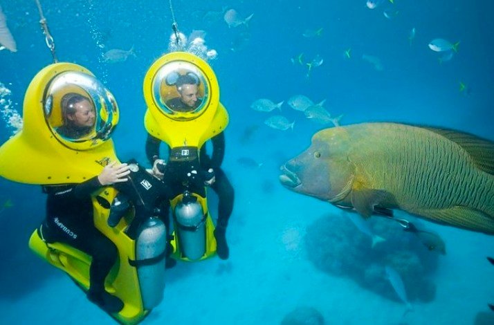 Two tourists in front of a big fish under the sea