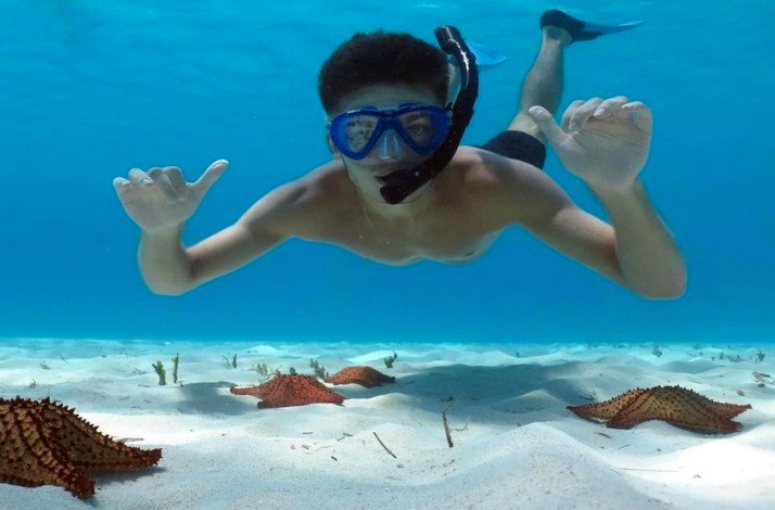 A snorkeler amid starfish near Caribbean Sea seafloor.