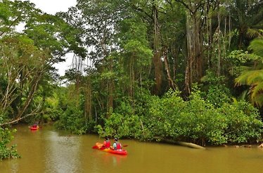 Tourists kayaking through the Damas Island Estuary