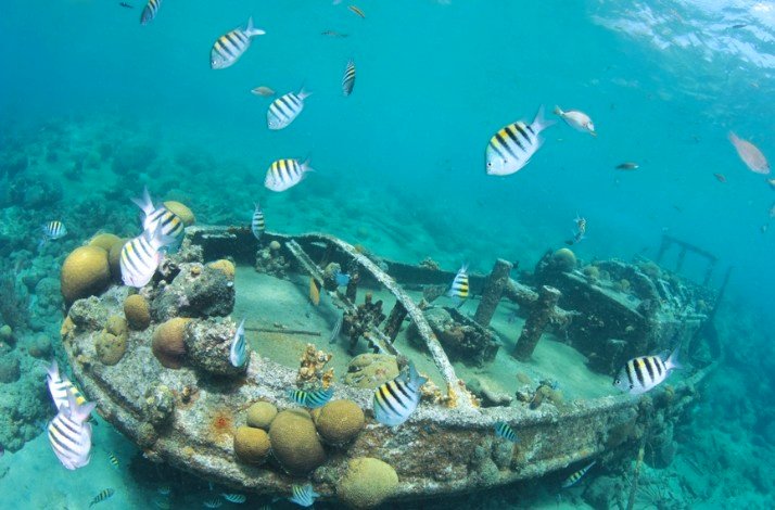 Close up shot of the iconic Curaçao wreck 