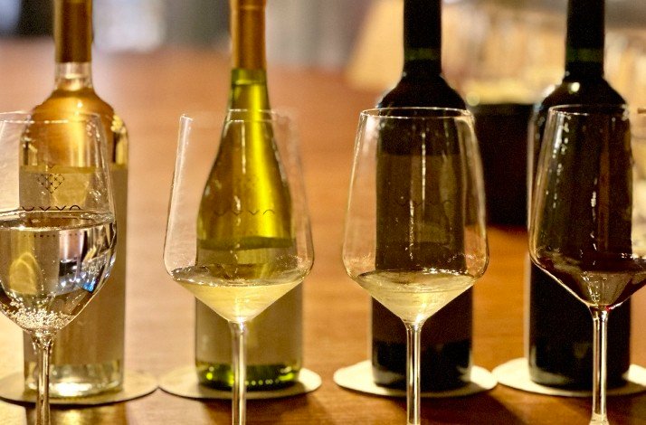 Wine bottle and filled glasses at Winery UVVA ready for degustation.