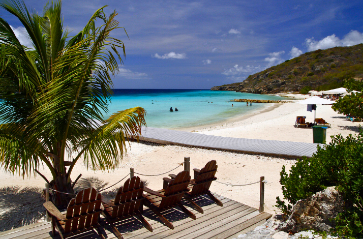 A tropical beach scene with palm trees, wooden lounge chairs, white sand, and calm turquoise water.