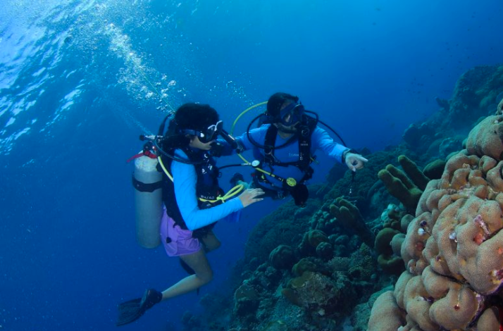 Two scuba divers hover near a colorful coral wall as one points out a feature of the reef.