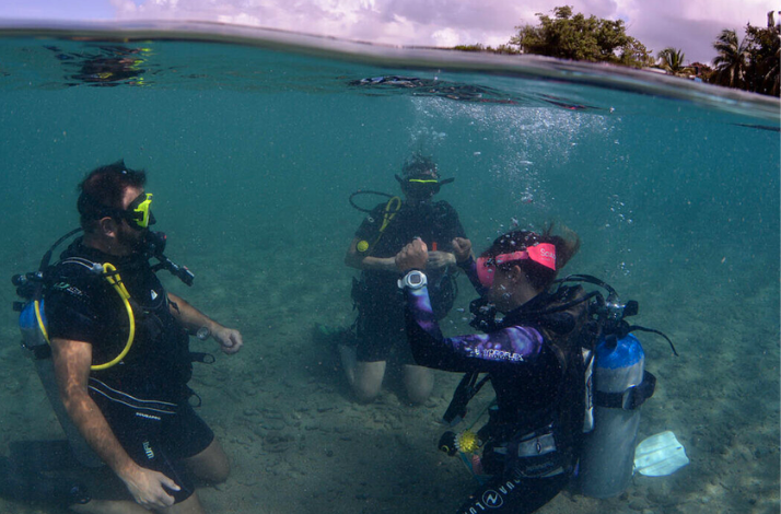 Three divers practice skills on the sandy bottom in shallow water, with the waterline and trees visible above.