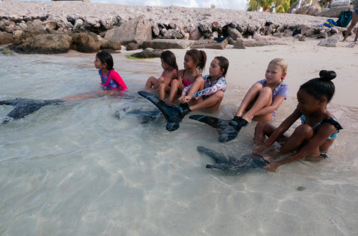 A group of children sit at the water’s edge, putting on black mermaid fins on a sandy beach