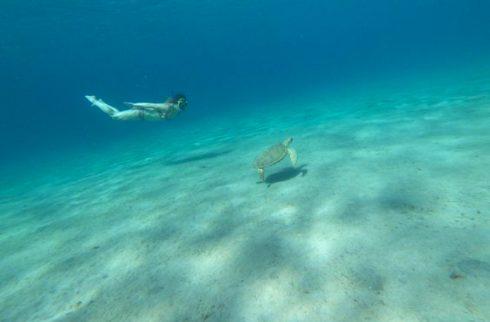 Snorkeler swimming near a sea turtle at Playa Forti, Curaçao.