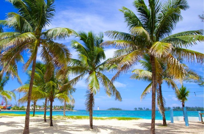 A view of the Araway Cay beach displaying the palm trees.